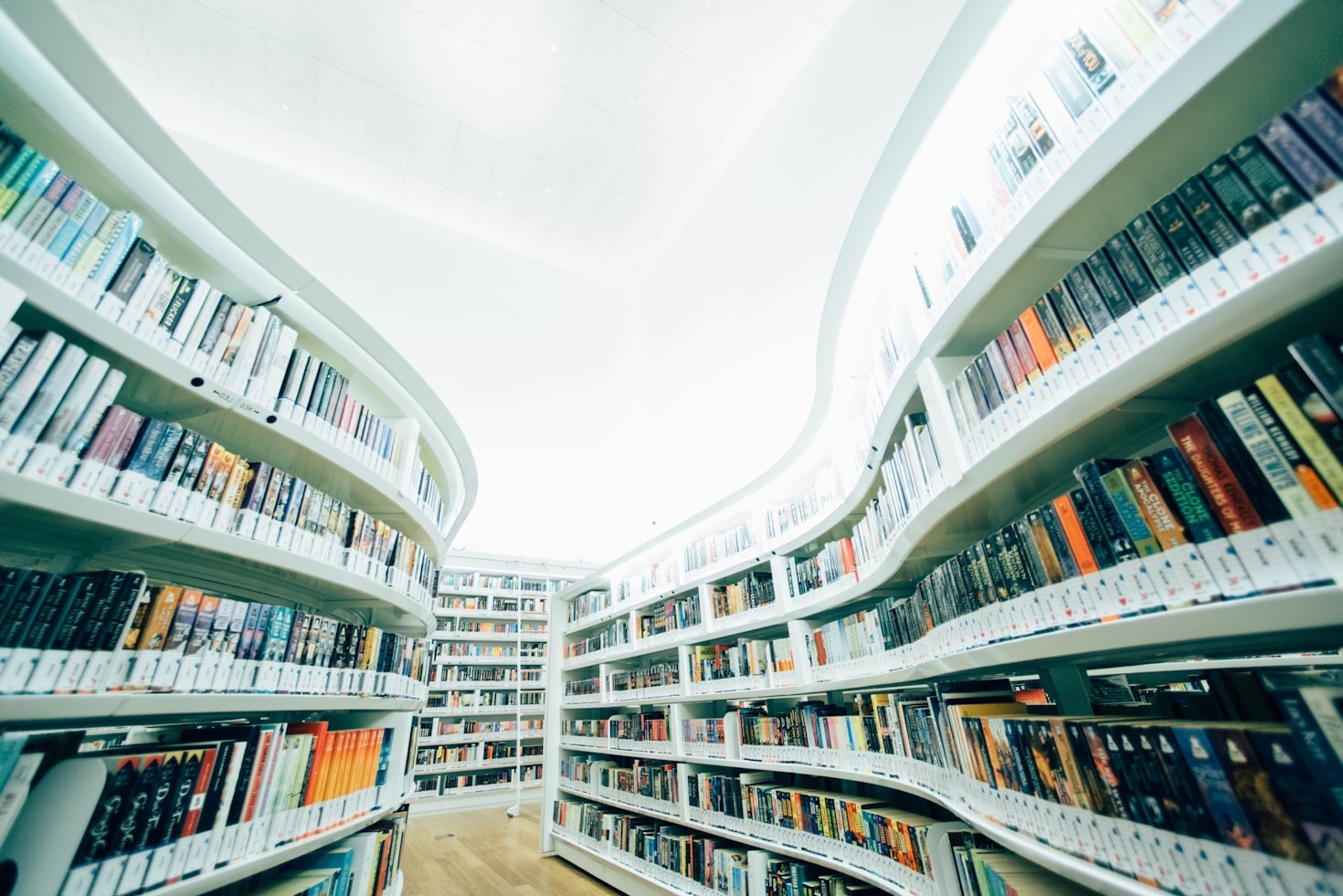 Monthly Reading Challenges to Revive Your Love for Books